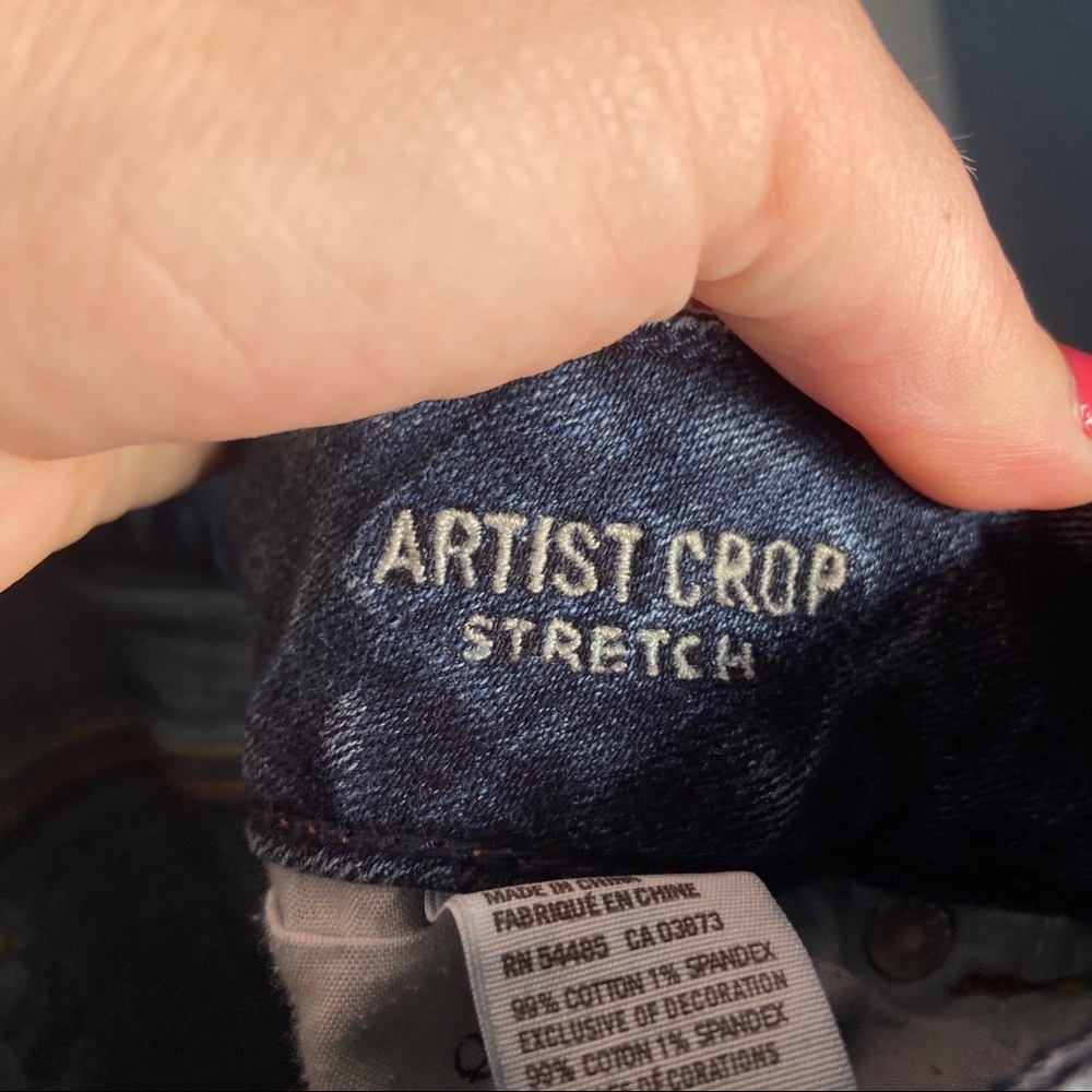 American Eagle Artist Crop Stretch Jean Medium - Picture 8 of 10